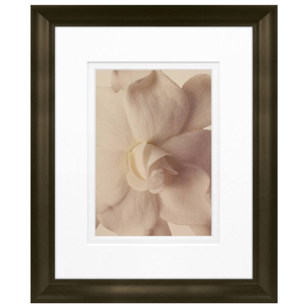 Timeless Frames&#xAE; Gardenia in Bloom Framed Print Wall Art